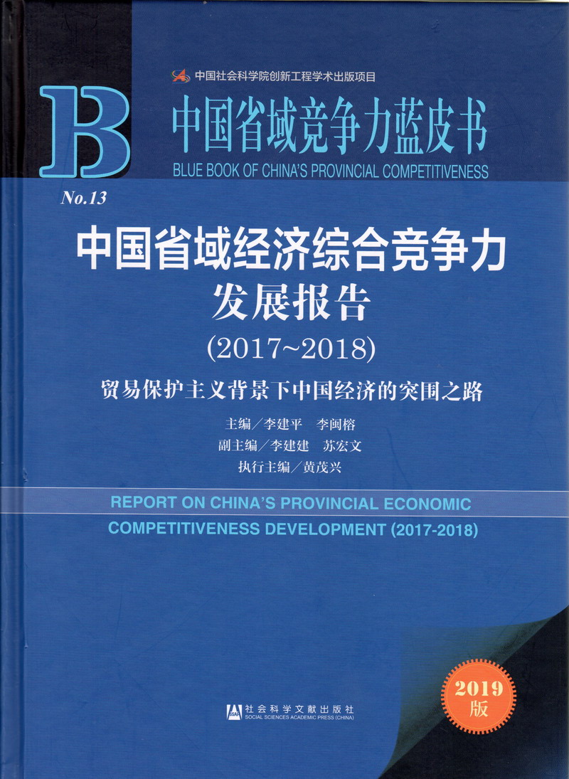 啊骚逼要操视频中国省域经济综合竞争力发展报告（2017-2018）