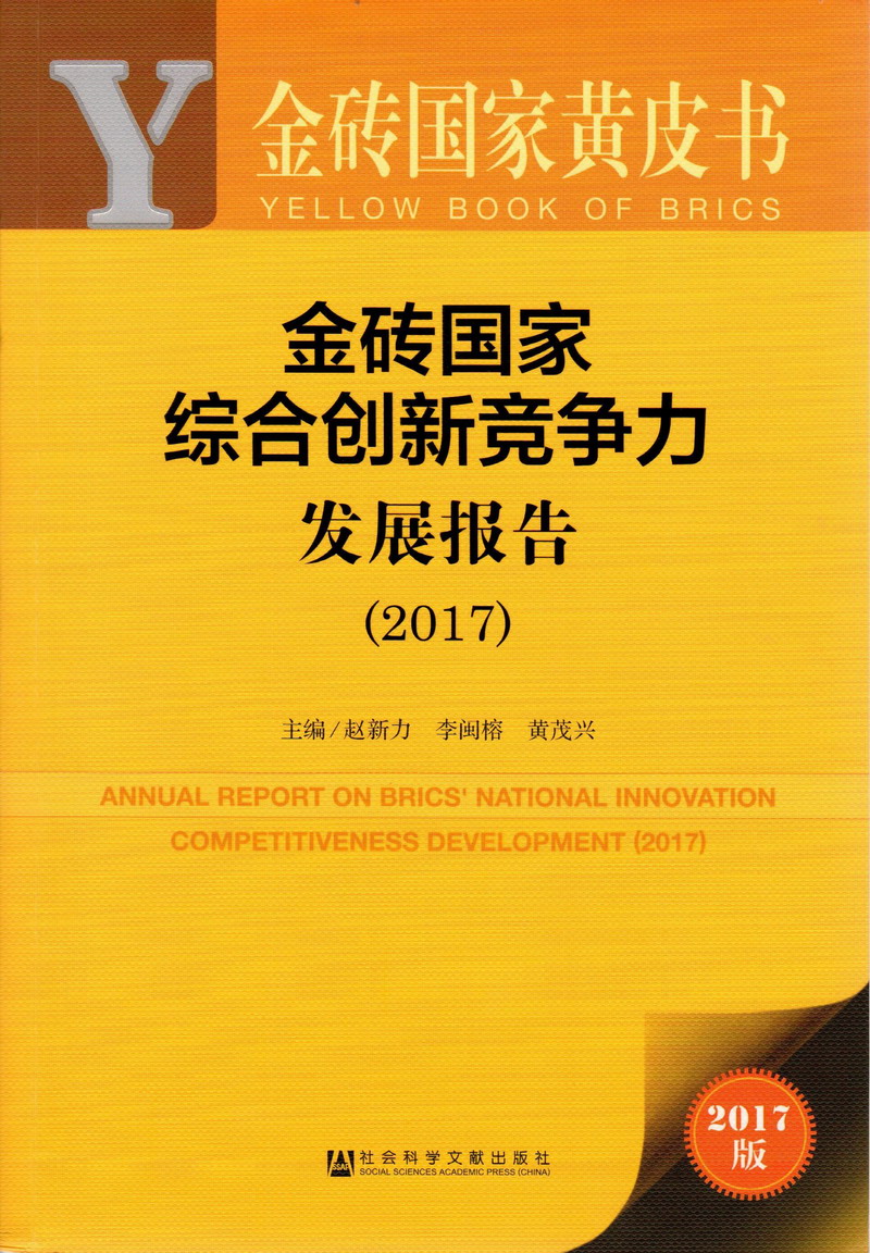 被操😊在线看金砖国家综合创新竞争力发展报告（2017）